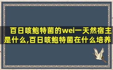 百日咳鲍特菌的wei一
天然宿主是什么,百日咳鲍特菌在什么培养基上生长会呈现水银样菌落 🐯